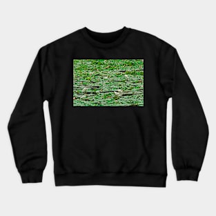 Egrets,  Ayutthaya, Thailand Crewneck Sweatshirt